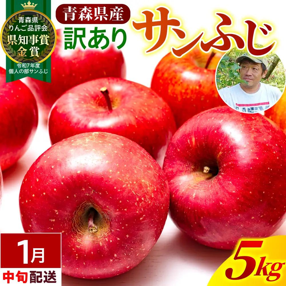 【2027年1月中旬発送】【訳あり】 りんご 約5kg 青森県産 サンふじ 家庭用 りんご