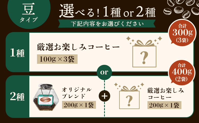 【自家焙煎珈琲工房 飛行島】珈琲豆 2種セット 計400g （200g×各1袋）【4700101】  （200g×各1袋）計400g