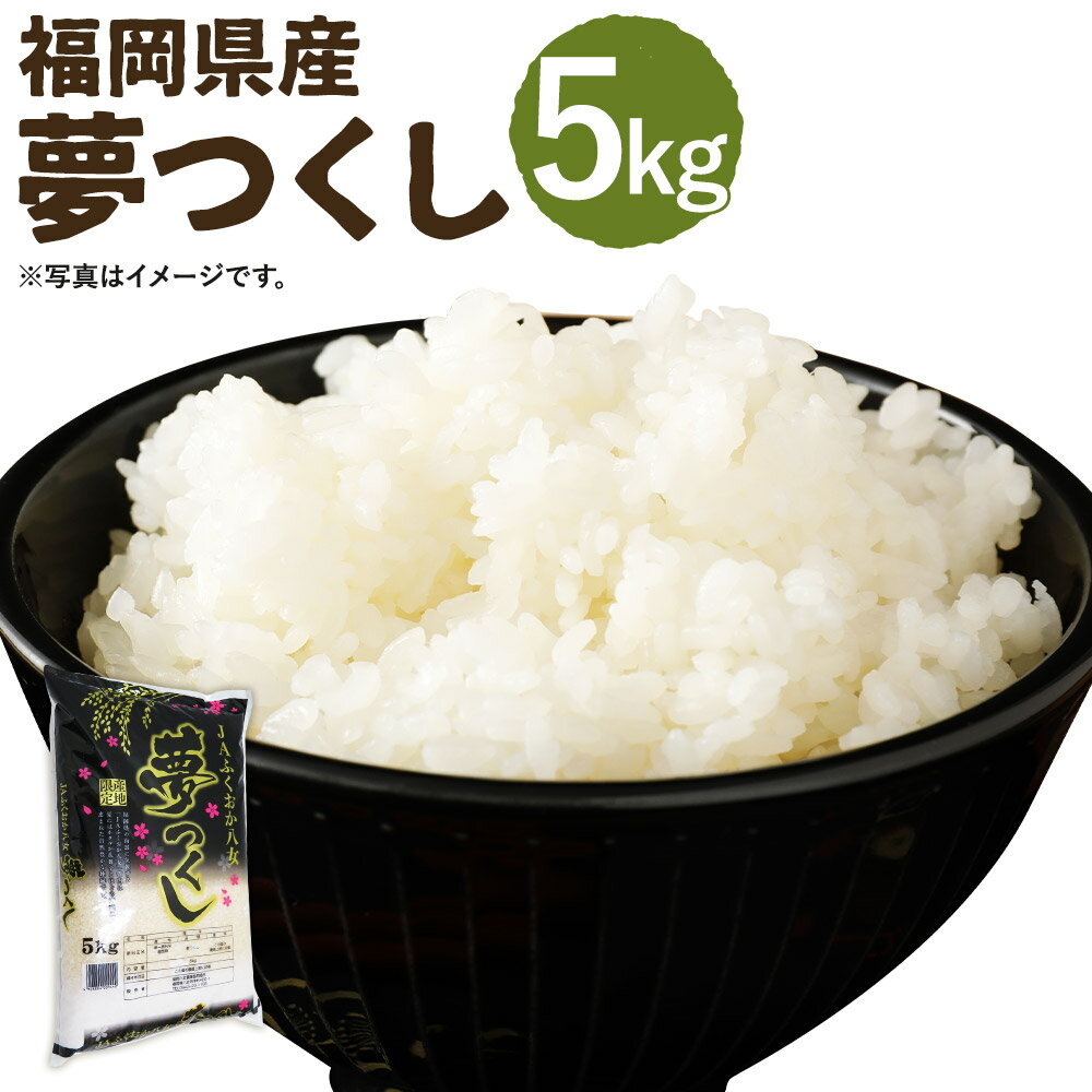 【ふるさと納税】令和7年産 夢つくし 5kg お米 米 精米 白米 福岡県産 九州産 送料無料