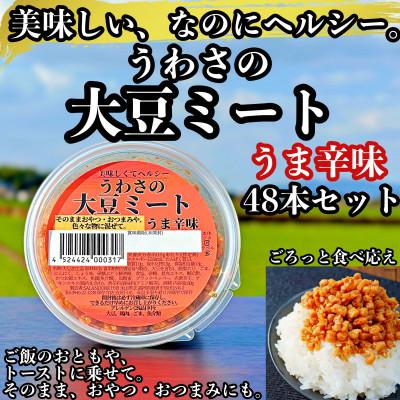 ふるさと納税 朝倉市 うわさの大豆ミート うま辛味 48本セット