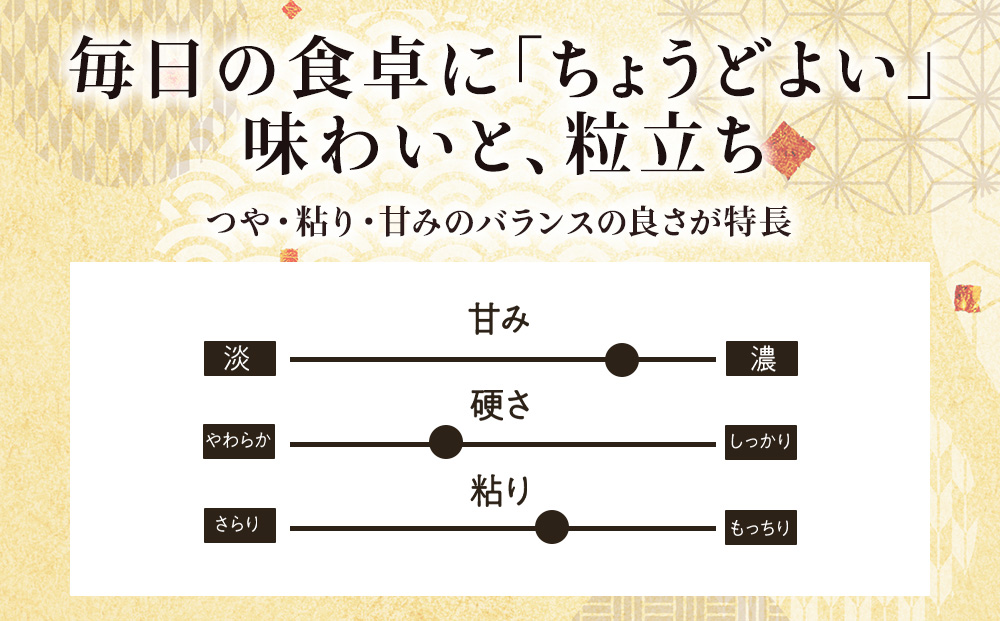 【定期便6カ月】北海道産ななつぼし　5kg×2　計10kg 【配送不可地域：離島・沖縄県】