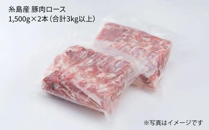 糸島産豚肉 ロース肉 ブロック 3kg 以上 糸島市/糸島ミートデリ工房 [ACA105]