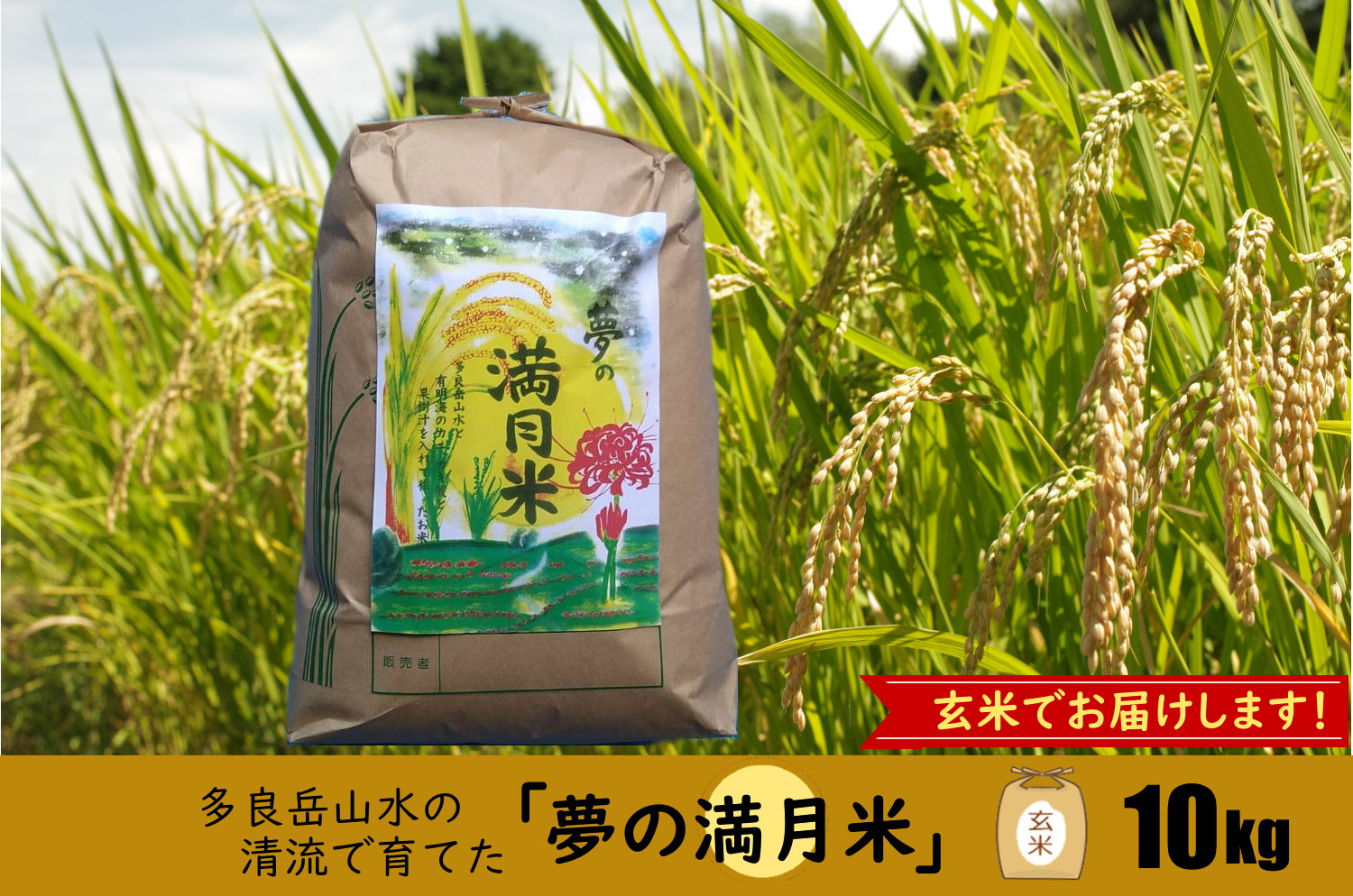 
                  O162x1 「夢の満月米」10㎏（玄米）【令和8年産】 玄米ご飯 玄米 ごはん ご飯 こめ 米 お米 ライス
                