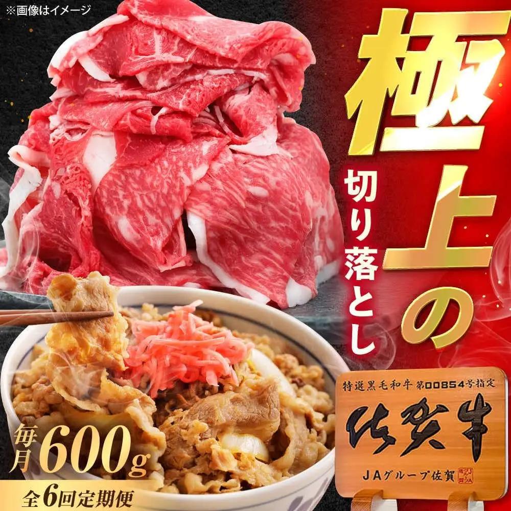 【6回定期便】 佐賀牛 切り落とし 600g 牛切落し [UEM032]