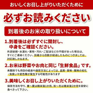 米 精米 令和7年産 はえぬき 10kg（5kg×2）  F3S-2832