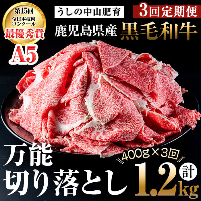 【ふるさと納税】【定期便全3回】＜A4・A5等級＞黒毛和牛堪万能切り落とし肉 計1.2kg（400g×1P・全3回）黒毛和牛 和牛 切り落とし 肉 牛肉 国産 九州産 鹿児島県産 すき焼き しゃぶしゃぶ 牛丼 小分け A5 日本一 ランキング 人気 定期便【nixy CHUZAN】t0039-005