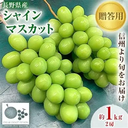 2026年発送「産地より信州中野の旬をお届け」 シャインマスカット　贈答用　約1kg【配送不可地域：離島】【1311083】