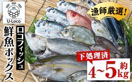 A78004 漁師厳選！ロコフィッシュ(地魚) 下処理済 鮮魚 ボックス(約4～5kg)地魚 魚 お魚 冷蔵 生もの 加工品 未利用魚 低利用魚 焼き魚 焼魚 刺し身 刺身 煮魚 届くまでのお楽しみ 鮮魚セット 鮮魚ボックス 鮮魚BOX【昌徳丸】