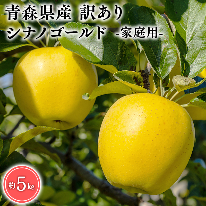 ６月発送　訳あり　家庭用　甚八りんごシナノゴールド5kg　【マルジンサンアップル　6月　青森県産　平川市　りんご　シナノゴールド　5kg　訳あり　家庭用】