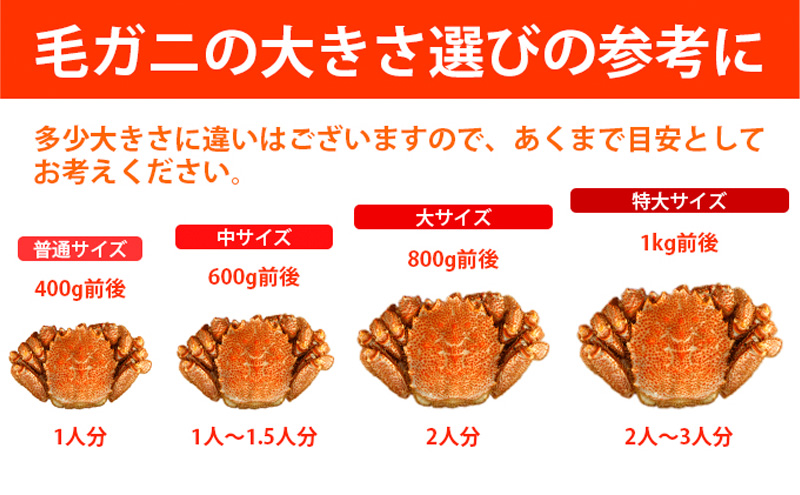 【漁獲量日本一】至福の逸品！特選冷凍「枝幸毛がに」約570g×1尾 毛蟹 毛ガニ オホーツク 北海道