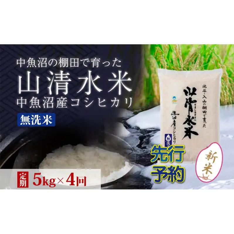 【令和8年産 先行予約】【定期便／全4回】無洗米5kg 新潟県魚沼産コシヒカリ「山清水米」