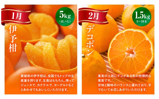 【愛媛県共通返礼品】【定期便】愛媛の柑橘定期便（全6回）（日の丸みかん・紅まどんな・いよかん・デコポン・せとか・河内晩柑） ※2026年11月～2027年4月に毎月1回発送予定 【 ふるさと納税 人気