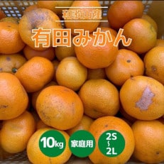 和歌山県産　有田みかん　10kg　家庭用