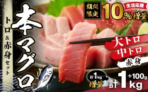 本マグロ トロ+赤身セット 1kg | 那智勝浦町 海鮮 魚介類 本まぐろ 本マグロ まぐろ マグロ 鮪 maguro トロ 赤身 刺身用 セット 人気 おすすめ グルメ 大トロ 中トロ 寿司 国産まぐろ