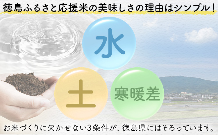 【先行予約】白米 徳島ふるさと応援米 20kg 《2026年11月以降順次出荷》 生活応援企画 米 精米 送料無料 徳島県 佐那河内村 白米 ブレンド米 こめ コメ お米
