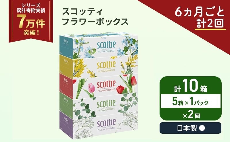 定期便 ティッシュ スコッティ フラワーボックス 5箱 × 1パック《 6ヶ月ごと計 2回 》