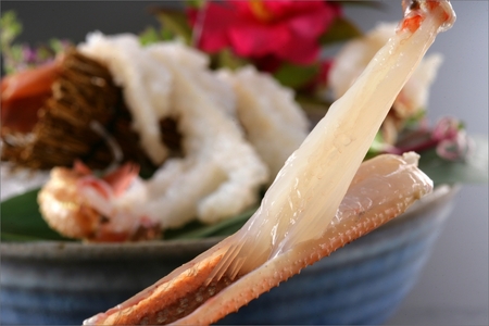 【1～3月発送】最高鮮度の生きたまま発送！京丹後市産活間人かに　700g～800g中大サイズ/北畿水産