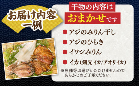 ひものや つかもとの旬のおまかせ干物詰め合わせA 【合同会社 塚元】[JDR001] 干物 ひもの おまかせ 詰め合わせ あじ いわし みりん干し  壱岐 魚 アジ イワシ イカ 10000 1000