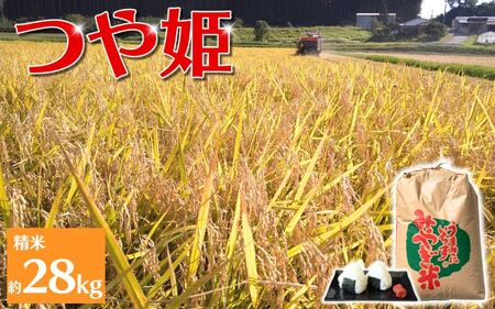 【環境保全米】アグリとみたの 令和7年産 つや姫 精米 約28㎏ / 米 お米 こめ 白米 ご飯 ライス つやひめ 産地直送 数量限定