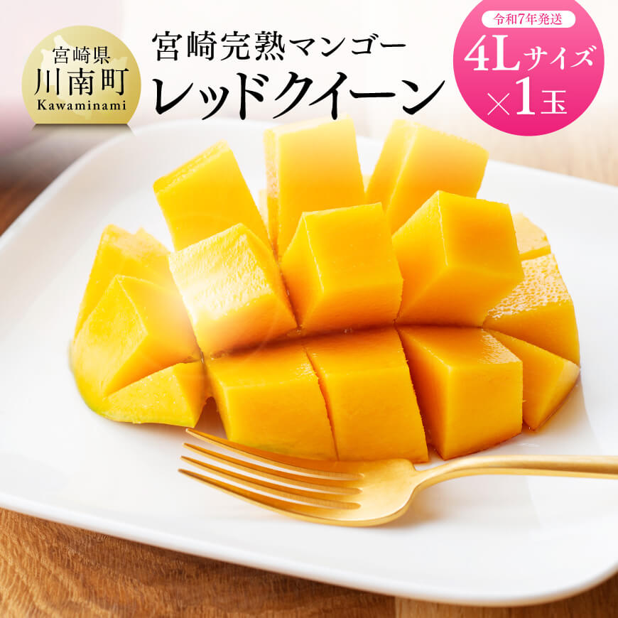 【ふるさと納税】 【令和7年発送】宮崎県産完熟マンゴー 「レッドクイーン」4L×1玉 - 果物 フルーツ マンゴー 宮崎県産 完熟マンゴー みやざきマンゴー 先行予約 数量限定 期間限定 D03218