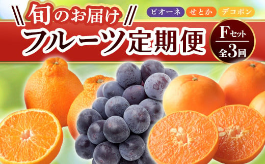 【旬のお届け フルーツ定期便 3回】Fセット ピオーネ 約1.2kg せとか 約5.0kg デコポン約5kg F5J-798