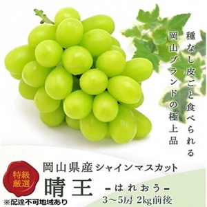 シャインマスカット 晴王 岡山県産 シャインマスカット【2kg前後 3～5房】【先行予約】