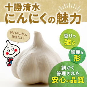【北海道産】十勝育ちのにんにく Lサイズ(玉) 1kg _S021-0021