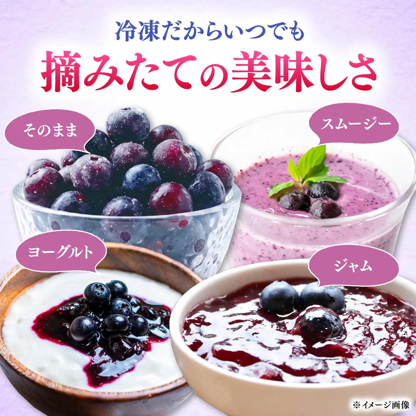 大容量 対馬産 ブルーベリー 1.2kg（ 冷凍 ） [WBG001] 果物 フルーツ ベリー 冷凍 ブルーベリー旬 ブルーベリー