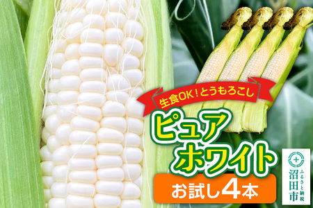 《7月下旬～9月中旬発送》とうもろこし ピュアホワイト お試しセット（4本）