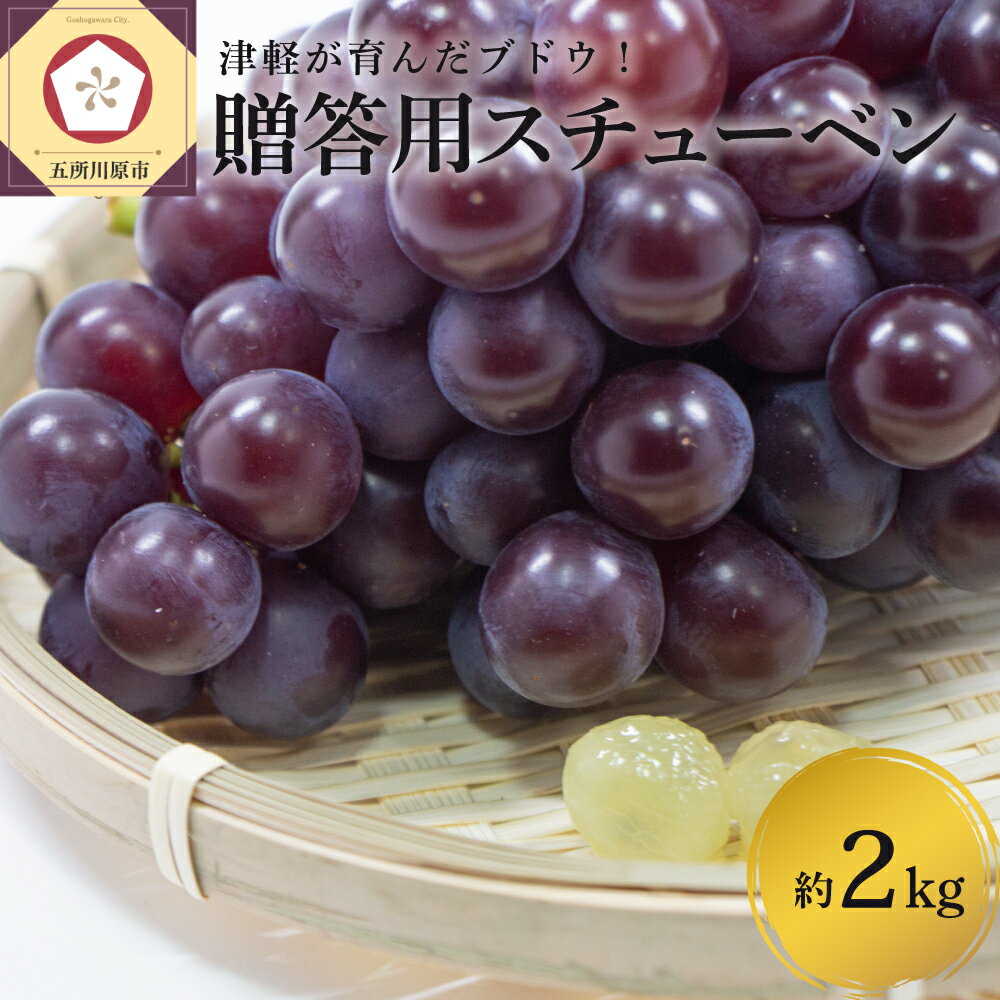 【ふるさと納税】《 先行予約 2025年11月中旬発送》 スチューベン 2kg 化粧箱入 / ぶどう 葡萄 グレープ 果物 くだもの フルーツ 贈り物 贈答 ギフト 旬 秋 青森県 五所川原市