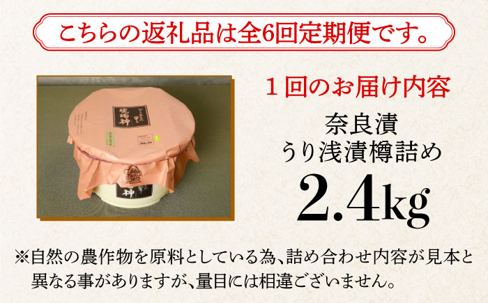 【先行予約】【全6回定期便】【明治神宮ご奉献品】奈良漬 「琥珀漬」 うり浅漬 樽詰め 2.4kg《築上町》【有限会社奈良漬さろん安部】奈良漬 奈良漬け [ABAE056] 198000円 19万8千円
