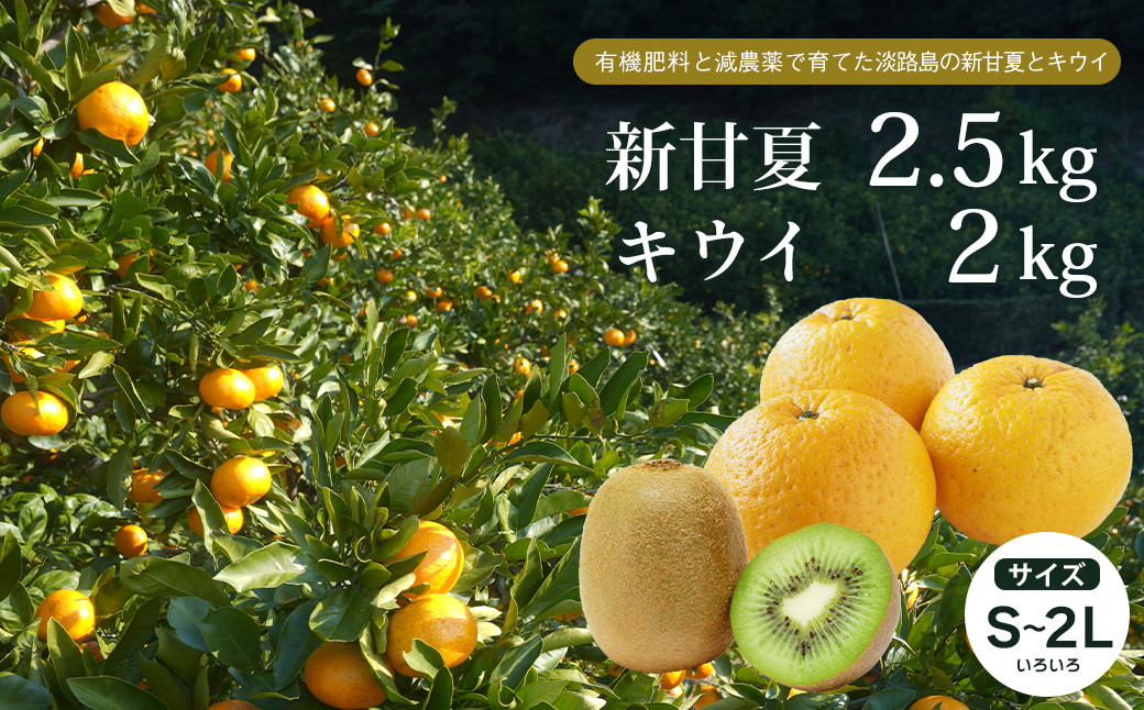 
片山農園の淡路島産新甘夏2.5kgとキウイ2.0kg【サイズいろいろS～2Lサイズ】【発送時期2025年2月頃~5月頃】
