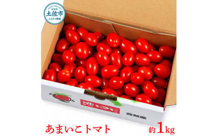 【先行予約】あまいこトマト 約1kg ＜2027年1月?発送＞ / トマト ミニトマト フルーツトマト 糖度7〜8度 高知県産 アイコ アイコトマト 健康 酸味控えめ 美味しい【池トマト】[BQAG0