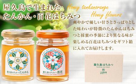 【ギフト用】屋久島産 はちみつ（たんかん・百花）120g×2個＜久保養蜂園 屋久島ファーム＞