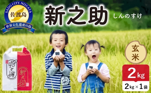 令和8年産 佐渡島産 新之助 玄米2kg | 新潟県産新之助 新潟産新之助 佐渡産新之助 新之助 お米 米 玄米 おこめ コメ 2キロ にいがた さど 新潟県 佐渡市 195962-104102