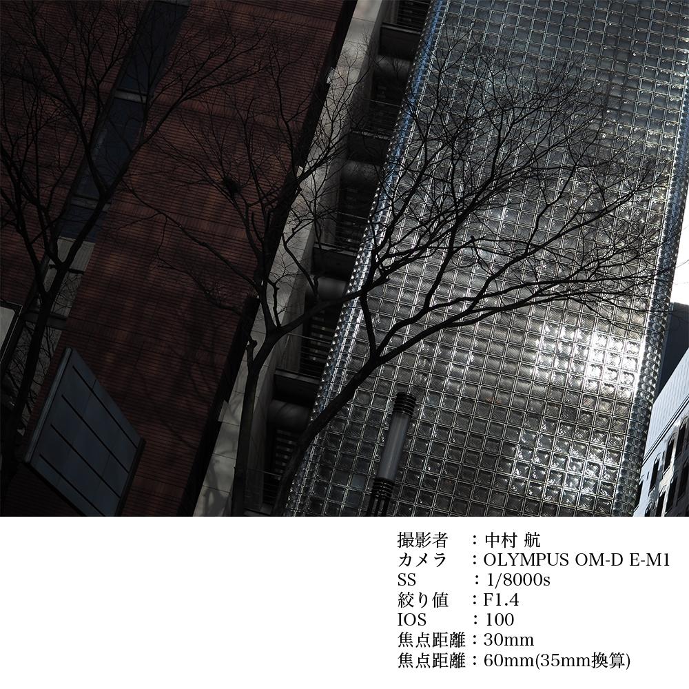 SIGMA 30mm F1.4 DC DN | Contemporary【キヤノンEF-Mマウント】カメラ レンズ 家電