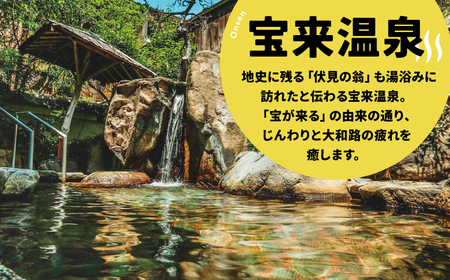 天平ロマン ペア宿泊券 1泊朝食付 奈良パークホテル 天然温泉 朝食付き チケット 宿泊 D-17
