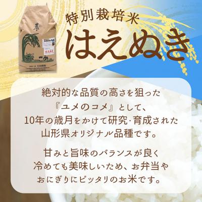 ふるさと納税 庄内町 石垣農園の特別栽培米 はえぬき 10kg 令和7年産 2025年産 ブランド米 |  | 01