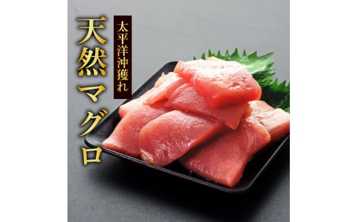 ～四国一小さなまち～ 天然マグロ切り落とし1kg×ぶり切り落とし900g まぐろ 鮪 ブリ 鰤 スライス 刺身 刺し身 さしみ ぶりしゃぶ 照り焼き 魚介 海鮮 海鮮丼 おかず 惣菜