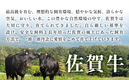 艶さし！【A4～A5】佐賀牛サーロインステーキセット　500ｇ（250ｇ×2枚）						