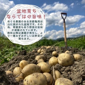 【6回定期便】旬の味！お野菜 詰め合わせBOX 8～10品目×6回（栽培期間中 農薬・化学肥料不使用） 【めぐる農園】京都 亀岡 京野菜 農家より直送 野菜 野菜詰め合わせ 野菜セット 厳選野菜 旬野