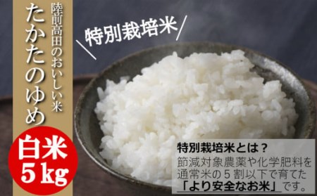 令和6年産 新米 特別栽培米 白米 5kg 〈 品種：たかたのゆめ 〉【 オリジナル ブランド米 冷めてもおいしい お弁当 おにぎり ギフト 】