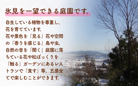 ボタニカルボトル作成+入場券（大人2枚） 富山県 氷見市 入場券 ペア 花 ガーデン 体験