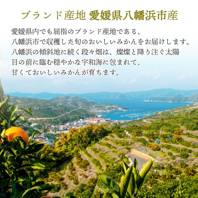【発送月固定定期便】みかんまどんな食べ比ベ(3kg＆2.5kg)【F25−198】全2回【4066099】
