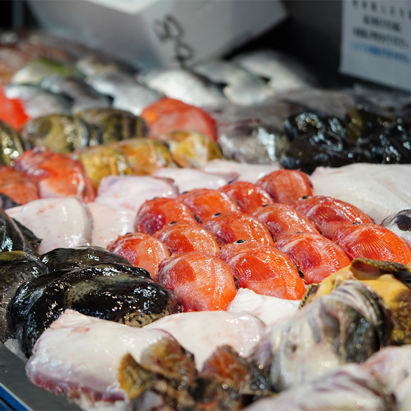 【定期便 2ケ月連続】 お魚の目利きのプロにお任せ！北海道産（国産） 天然 鮮魚 約500g～1kg（釧路の鮮魚セット） 産地直送 冷蔵 冷蔵便 刺身 鮮魚 セット 北海道 釧路町 釧路超 特産品_イ