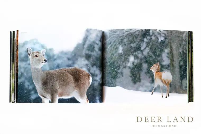 奈良の鹿 写真集「DEER LAND 誰も知らない鹿の国」 2作目 オールカラー サイン入り KAZUTO PHOTO OFFICE 佐藤和斗 I-192