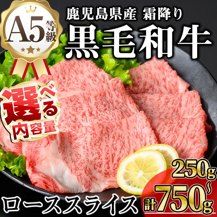 【ふるさと納税】＜内容量が選べる！＞鹿児島県産A5等級黒毛和牛霜降りローススライス(すき焼き用) (計250g～750g) 国産 鹿児島県産 牛 黒毛和牛 A5 冷凍 ロース スライス すき焼き【KNOT】