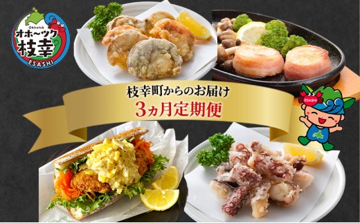 
                  北海道枝幸町からのお届け おかずにどうぞ！ 定期便3【 ザンギ タコ ホタテ ステーキ ホッケ フライ 北海道 オホーツク 枝幸 】 
                