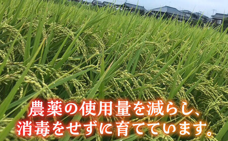 【先行予約】新米 津田くん農園の夢つくし 10kg [VDG002] 米 白米 お米 ご飯