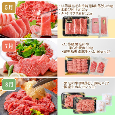定期便8回配送　ぜいたく!!お楽しみ定期便　HH0-0001【1505356】 _ 定期便 肉 牛肉 魚介 鰹 エビ マグロ ホルモン ステーキ サーロイン ネギトロ 人気 おすすめ 送料無料 贈答 